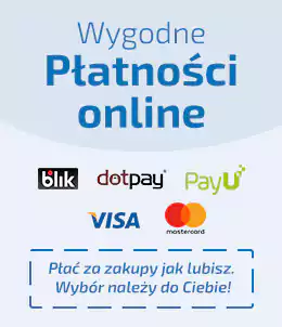 Wygodne płatności Online